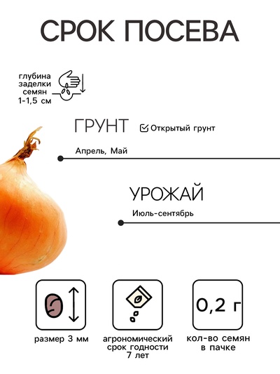 Семена Лук репчатый «Эксибишен», 0.2 г, «Гавриш» bejo