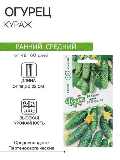 Семена Огурец "Кураж", F1, 10 шт + "Мурашка", F1, 10 шт серия Дуэт