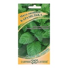 Семена Мята «Карамелька», 0.05 г, «ХИТ-Гавриш» - Фото 1