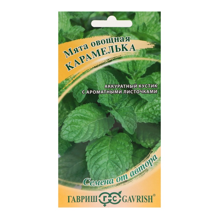 Семена Мята «Карамелька», 0.05 г, «ХИТ-Гавриш» - Фото 1