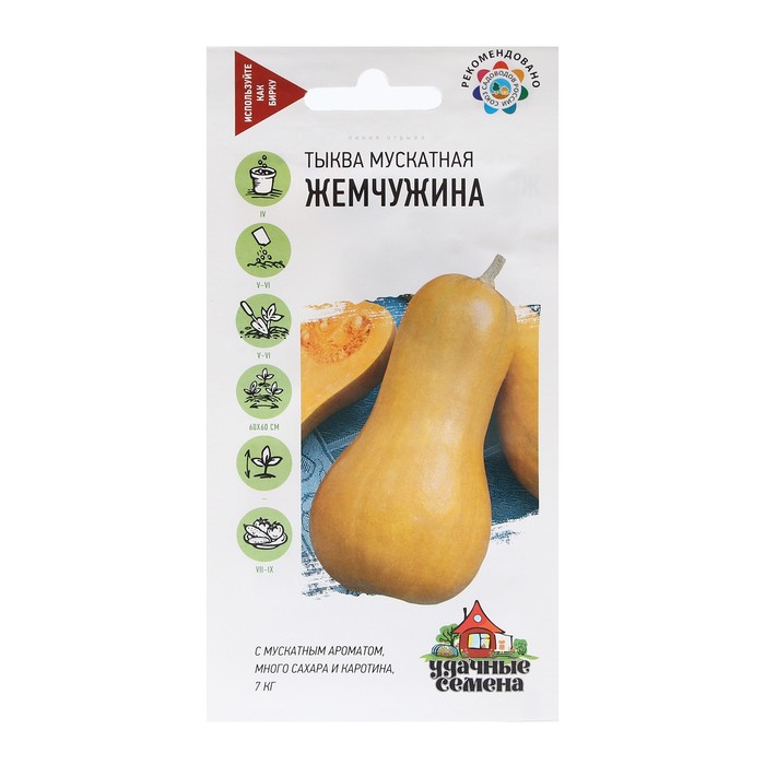 Семена Тыква "Жемчужина", мускатная, 1,0 г - Фото 1