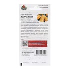 Семена Тыква "Жемчужина", мускатная, 1,0 г - Фото 2