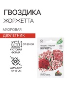 Семена гвоздика бородатая «Жоржетта», махровая, смесь, 0.1 г - Фото 1