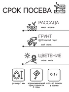 Семена гвоздика бородатая «Жоржетта», махровая, смесь, 0.1 г - Фото 2