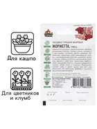 Семена Гвоздика бородатая "Жоржетта", ц/п,  махровая, смесь, ХИТ х3, 0,1 г - фото 36055326
