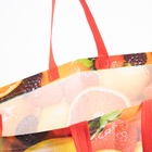 Сумка хозяйственная без молнии, 12 л, цвет красный/разноцветный (комплект 2 шт) - фото 47154272