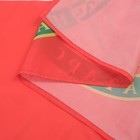 Флаг Татарстана, 90 х 135, полиэфирный шелк, без древка - фото 6803140