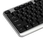 Клавиатура ExeGate Professional LY-401, проводная, мембранная, 104 клавиши, USB, чёрная - фото 51308172