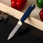 Нож кухонный Tramontina Multicolor, для овощей, лезвие 7,5 см, цвет синий - фото 292240161