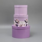 Набор шляпных коробок 3 в 1, упаковка подарочная, «Лавандовый», 18 х 18 х 13‒25 х 25 х 15 см - фото 22005210
