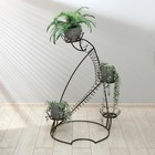 Подставка для цветов, напольная, на 4 горшка, d = 14 см, бронзовая, «Лилия» 9433064