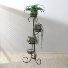 Подставка для цветов, напольная, на 4 горшка, d=13 см, бронзовая, «Маркиз» - Фото 3