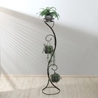 Подставка для цветов, напольная, разборная, на 3 горшка, d=18 см, бронзовая - Фото 4