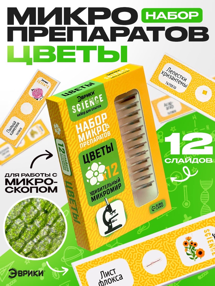 Набор для опытов «Набор микропрепаратов», цветы - Фото 1