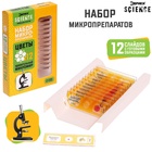 Набор для опытов «Набор микропрепаратов», цветы - Фото 5