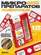 Набор для опытов «Набор микропрепаратов», животные - Фото 1