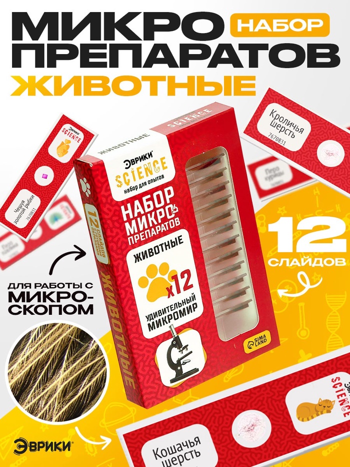 Набор для опытов «Набор микропрепаратов», животные - Фото 1