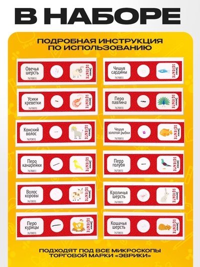 Набор для опытов «Набор микропрепаратов», животные