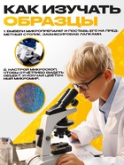 Набор для опытов «Набор микропрепаратов», животные - Фото 3