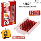 Набор для опытов «Набор микропрепаратов», животные - Фото 5