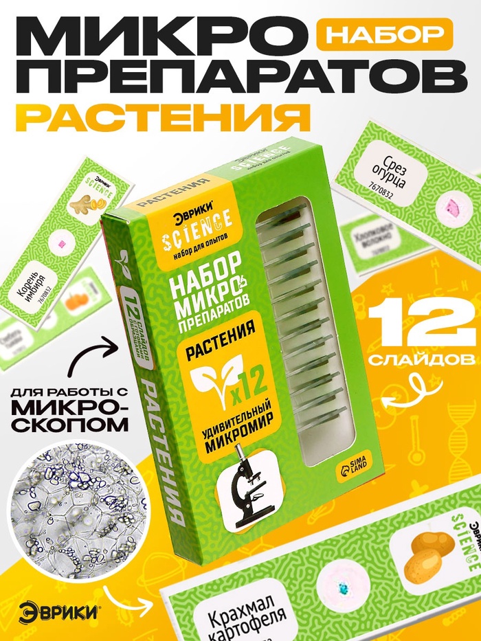 Набор для опытов «Набор микропрепаратов», растения - Фото 1