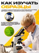 Набор для опытов «Набор микропрепаратов», растения - Фото 3