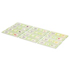 Набор для опытов «Набор микропрепаратов», растения - Фото 7