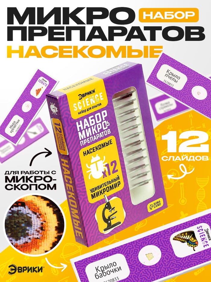 Набор для опытов «Набор микропрепаратов», насекомые - Фото 1