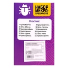 Набор для опытов «Набор микропрепаратов», насекомые - Фото 11