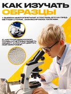 Набор для опытов «Набор микропрепаратов», насекомые - Фото 3