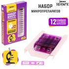 Набор для опытов «Набор микропрепаратов», насекомые - Фото 5