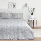 Постельное бельё 1,5 сп Экономь и Я "Морозный узор" 143х215 см, 145х214 см, 50х70 см-1 шт, 60 г/м2, микрофибра - фото 24384592