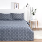 Постельное бельё 2 сп Экономь и Я "Виньетка" 173х215см, 175х214см, 50х70см-2 шт, 60 г/м2, микрофибра - фото 24719862