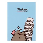 Записная книжка А5, 128 листов в клетку Pusheen, твёрдая обложка, ламинация Soft-Touch, блок офсет - фото 10966897