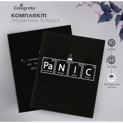 Набор предметных тетрадей Calligrata «На Чёрном», 10 предметов, 48 листов, со справочным материалом, обложка из мелованного картона