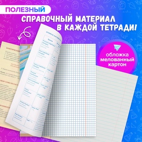 Комплект предметных тетрадей 48 листов "Мрамор светлый", 10 предметов, со справочным материалом, обложка мелованный картон, УФ-лак (полный), блок офсет