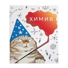 Набор предметных тетрадей 36 листов «Животные мемы», 12 предметов, серые листы - Фото 8