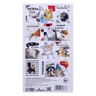 Набор предметных тетрадей 36 листов «Животные мемы», 12 предметов, серые листы - Фото 15