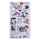 Набор предметных тетрадей 36 листов «Животные мемы», 12 предметов, серые листы - Фото 18