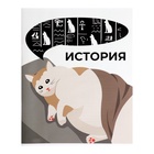 Набор предметных тетрадей 36 листов «Животные мемы», 12 предметов, серые листы - Фото 4