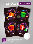 Набор предметных тетрадей Calligrata «Пиксели», 10 предметов, 36 листов, со справочным материалом, обложка из мелованного картона, блок офсет - Фото 2