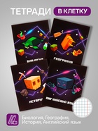 Набор предметных тетрадей Calligrata «Пиксели», 10 предметов, 36 листов, со справочным материалом, обложка из мелованного картона, блок офсет - Фото 3