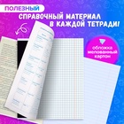 Комплект предметных тетрадей 36 листов "Пиксели", 10 предметов со справочным материалом, обложка мелованный картон, блок офсет 9364886 - фото 13905898