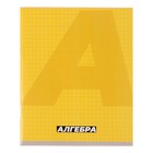 Тетрадь предметная "MonoTone" 36 листов в клетку "Алгебра",со справочным материалом, обложка мелованая бумага, блок № 2, белизна 75% (серые листы) - Фото 1