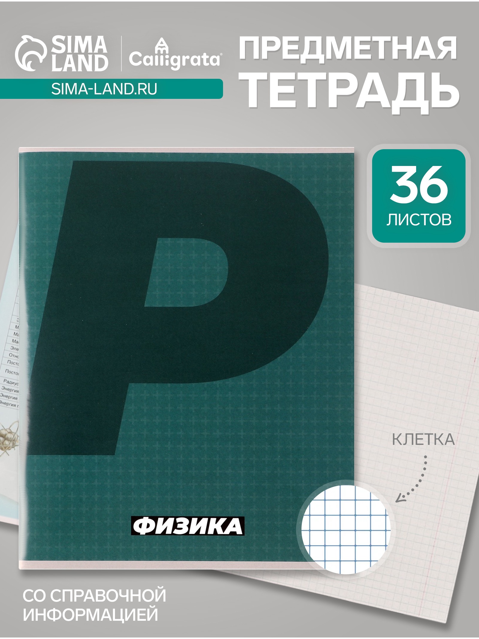 Тетрадь предметная Calligrata "MonoTone", 36 листов в клетку Физика, со ...