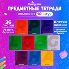 Набор предметных тетрадей Calligrata. MonoTone, 10 предметов, 36 листов, со справочным материалом, серые листы, обложка из мелованной бумаги - Фото 1