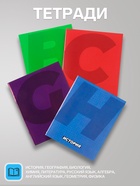 Набор предметных тетрадей Calligrata. MonoTone, 10 предметов, 36 листов, со справочным материалом, серые листы, обложка из мелованной бумаги - Фото 2