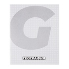 Набор предметных тетрадей Calligrata. MonoTone, 10 предметов, 36 листов, со справочным материалом, серые листы, обложка из мелованной бумаги - Фото 15