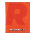 Набор предметных тетрадей Calligrata. MonoTone, 10 предметов, 36 листов, со справочным материалом, серые листы, обложка из мелованной бумаги - Фото 16