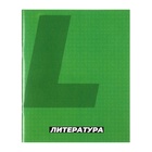 Набор предметных тетрадей Calligrata. MonoTone, 10 предметов, 36 листов, со справочным материалом, серые листы, обложка из мелованной бумаги - Фото 8